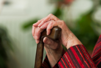 Bireysel Emeklilik Planları