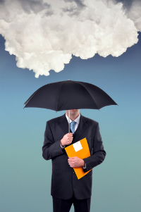 Hayatınız Sigortası ( Yıllık Risk Sigortası )